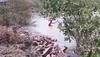 Tiger attacks and kills fishermen at Sunderban jungle, body not yet found