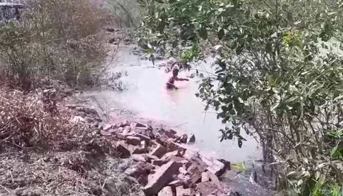 Tiger attacks and kills fishermen at Sunderban jungle, body not yet found