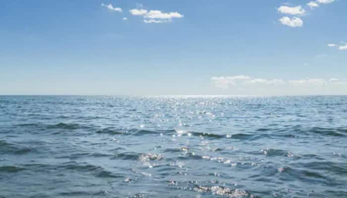 World Oceans Day 2020: History, significance and theme for this year