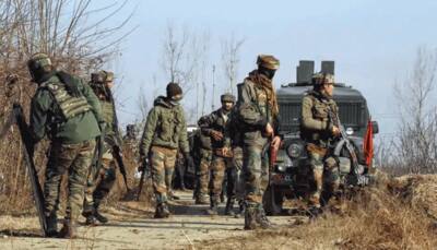 22 terrorists including six top commanders killed in last 2 weeks in Jammu and Kashmir: DGP 