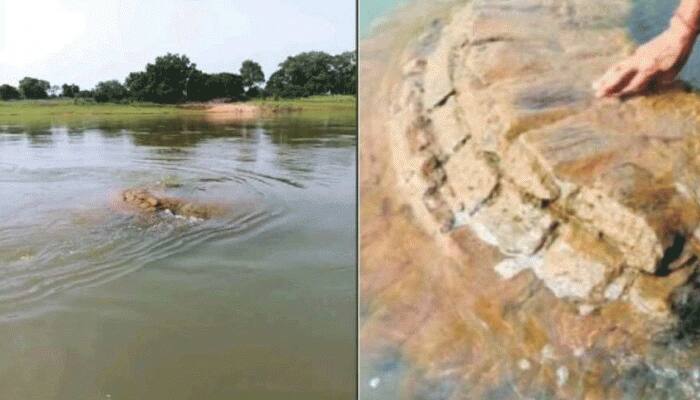 500-year-old temple, submerged in river Mahanadi, resurfaces in Odisha’s Nayagarh