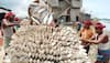 Fishermen expect 'Hilsa' boom amid COVID-19 gloom in West Bengal