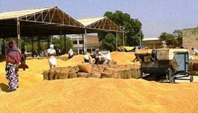 Procurement of wheat reaches all-time high amid COVID-19 lockdown; Madhya Pradesh becomes largest contributor