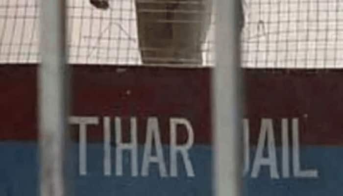 Efforts to be made to give two legal interviews of 30 minutes to Pinjra Tod member: Tihar to High Court