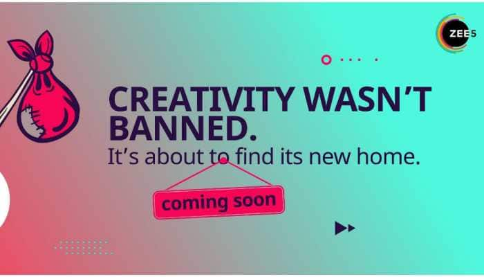 Zee5 to launch HiPi short video platform after India bans China&#039;s TikTok