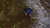IMD predicts very heavy rains in Mumbai on July 3-4, issues orange alert