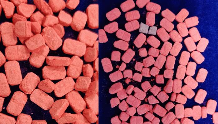 Chennai Airport Customs seizes Red Buli ecstasy pills worth Rs 3 lakh