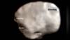 Phobos