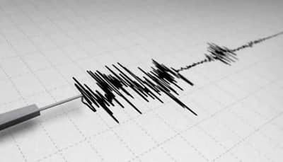 Earthquake measuring 4.7 magnitude jolts Ladakh's Kargil