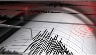 Earthquake of 4.2 magnitude jolts Gujarat's Kutch district
