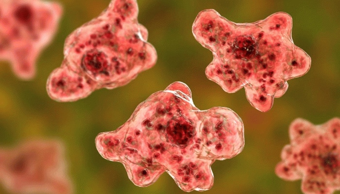 Rare case of brain-eating amoeba confirmed in Florida, residents warned to avoid nasal contact with tap water