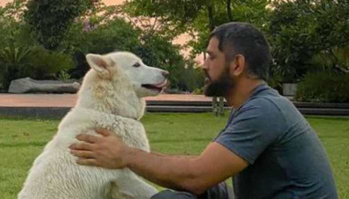 MS Dhoni's birthday wish from wife Sakshi came gift-wrapped like this: Greyed a bit more, become smarter and sweeter MS Dhoni's birthday wish from wife Sakshi came gift-wrapped like this: Greyed a bit more, become smarter and sweeter