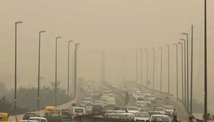 24,000 pollution-related deaths in Delhi in first half of 2020: Greenpeace