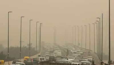 24,000 pollution-related deaths in Delhi in first half of 2020: Greenpeace