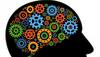 Neuroscientists examine the way brain regions function independently, collectively