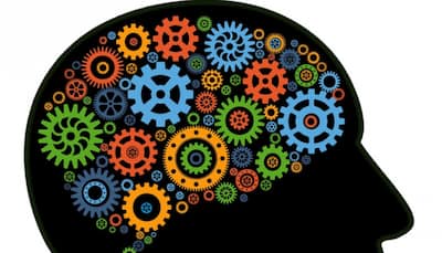 Neuroscientists examine the way brain regions function independently, collectively