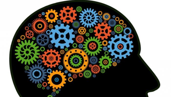 Neuroscientists examine the way brain regions function independently, collectively