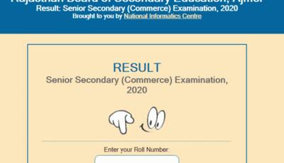 RBSE 12th Result 2020: Rajasthan board announces class 12 commerce results; check rajresults.nic.in