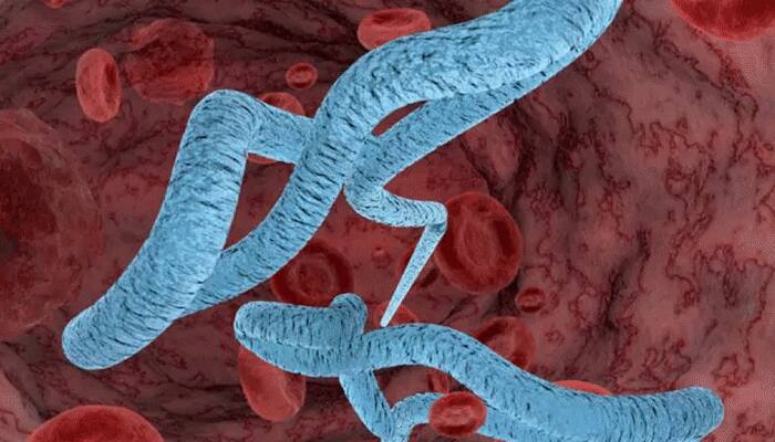 Ebola spreading in western Congo with nearly 50 confirmed cases: WHO