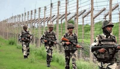 Pakistan intruder arrested along LoC in Jammu and Kashmir's Rajouri