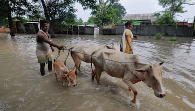 Assam flood: ASDMA releases emergency helpline number