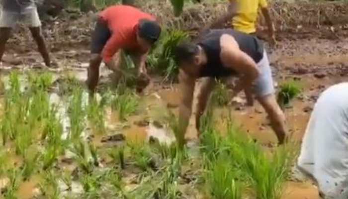 Watch: Salman Khan now plants rice in fields with rumoured girlfriend Iulia Vantur 