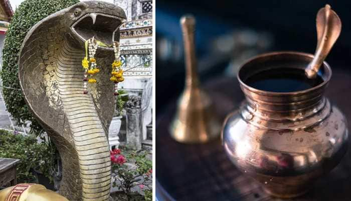 Nag Panchami 2020: Date, puja time, rituals and significance | Culture News  | Zee News