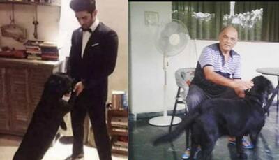 Sushant Singh Rajput's pet dog Fudge is with actor's father in Patna, sister Shweta Singh Kirti posts adorable pic!