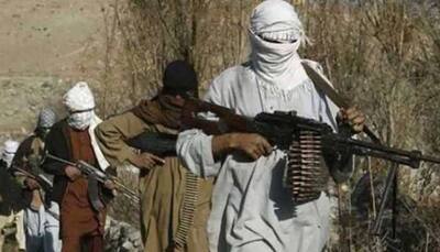 24 Taliban terrorists killed in clashes with Afghan security forces at Zabul province