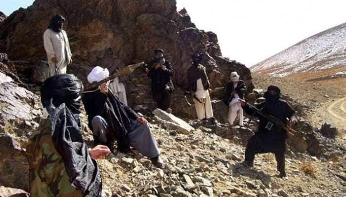 Pakistani nationals continue to provide leadership to Islamic State, Al Qaeda in South Asia: UNSC report