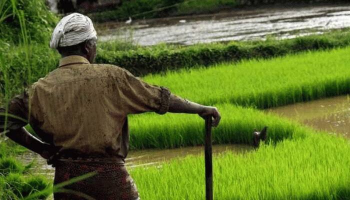 Teenage girls plough farmland to help family due to lack of money during coronavirus pandemic