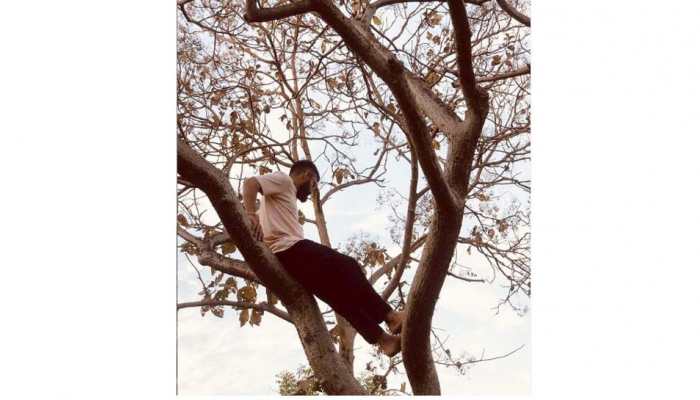 Virat Kohli shares throwback picture of him climbing a tree, Irfan Pathan reacts