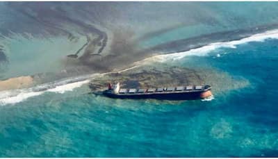 Mauritius declares state of environmental emergency after stranded Japanese ship spills fuel