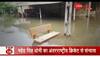 india flood today
