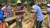 Sunderban takes up beekeeping to stop tiger attacks, will sell honey online