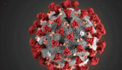 With 69,239 new coronavirus COVID-19 cases, India's tally crosses 30-lakh mark