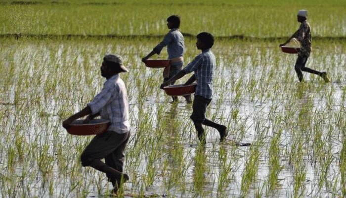 PM Narendra Modi extends greeting to farmers on Nuakhai