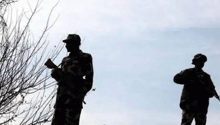 Chinese national arrested while trying to enter country from India-Nepal border in UP's Maharajganj