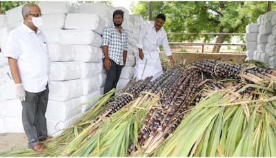 Tirumala Tirupati Devasthanams employee donates 12 tons of sugarcane to 'SV Goshala' 