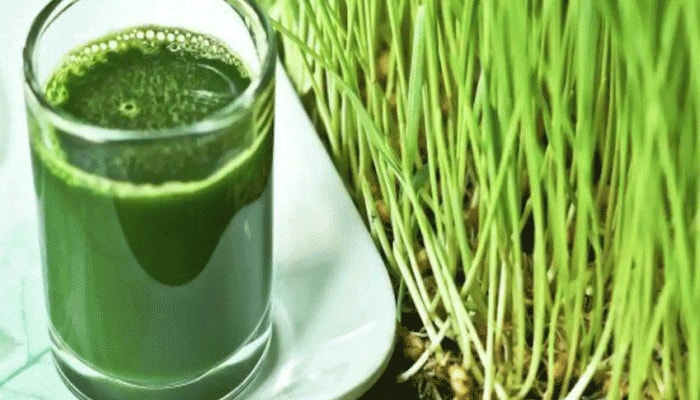 Know how wheatgrass can help you manage monsoon illnesses