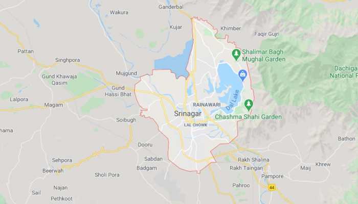 Weapon snatching attempt foiled in Jammu and Kashmir&#039;s Srinagar, man arrested