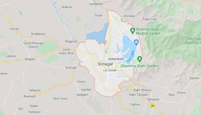 Weapon snatching attempt foiled in Jammu and Kashmir's Srinagar, man arrested