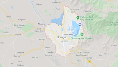 Weapon snatching attempt foiled in Jammu and Kashmir's Srinagar, man arrested