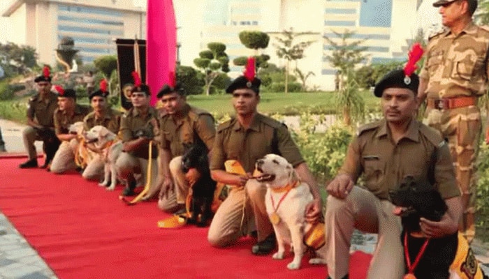 PM Narendra Modi lauds bravery of military dogs, urges countrymen to bring home native breeds