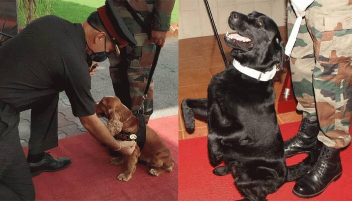 PM Narendra Modi lauds Vida, Sophie, Balram in Mann Ki Baat: Here&#039;s what the brave army dogs did for country