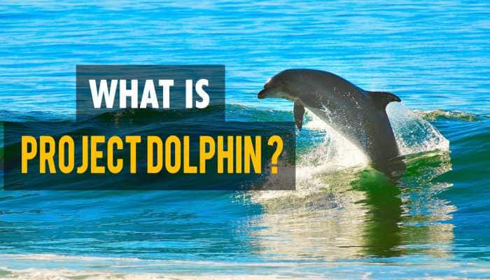 Project Dolphin: Saving the Indian River Dolphins