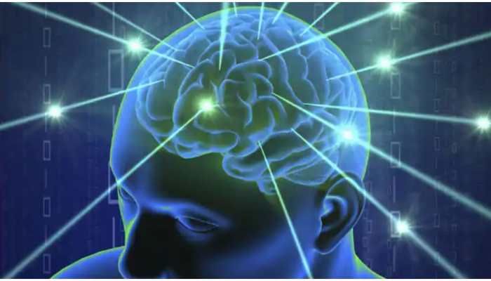 Brain protein linked to seizures, abnormal social behaviours, say researchers