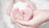 Study finds antibiotics affect breast milk microbiota in mothers of preterm infants