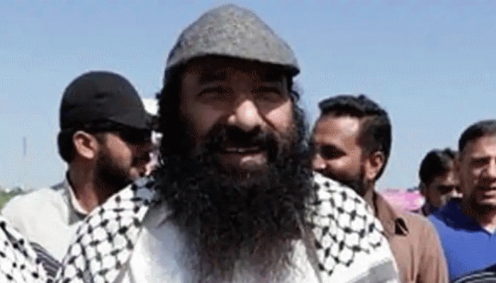 Wanted Hizbul chief Syed Salahuddin &#039;bona fide&#039; official working with ISI, shows Pakistani document