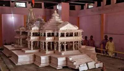 Rajasthan government bans mining of pink stone used in Ram Temple construction, here's why